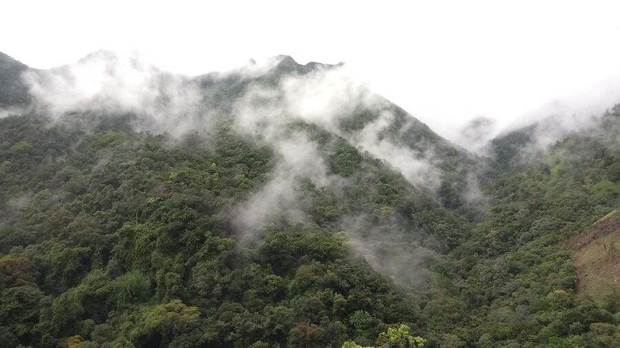 Ella: Waterfall hunting Hike to Bambarakanda and Lanka Falls - How good are the guides?