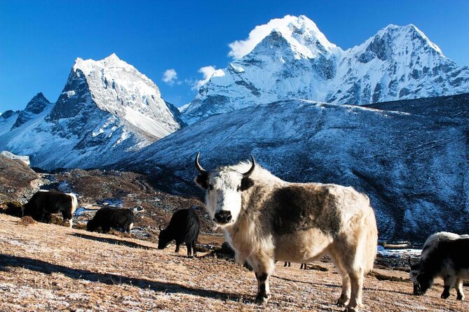 Everest Base Camp Trek - 14 Days - Key points to know before booking