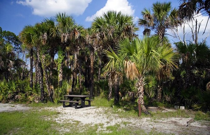 Everglades National Park Biologist Led Adventure: Cruise, Hike + Airboat - The one-hour airboat ride and Miccosukee village