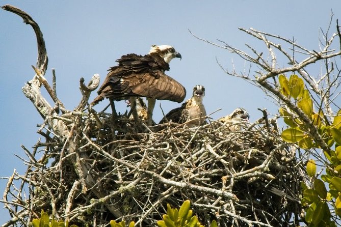 Everglades National Park Biologist Led Adventure: Cruise, Hike + Airboat - A historic trading post in Smallwood Store