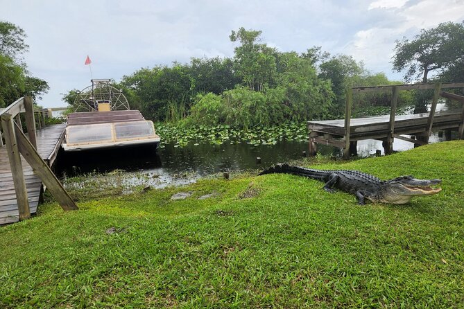 Everglades National Park Biologist Led Adventure: Cruise, Hike + Airboat - The Ten Thousand Islands cruise