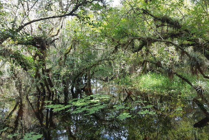 Everglades National Park Biologist Led Adventure: Cruise, Hike + Airboat - The morning ride to the River of Grass