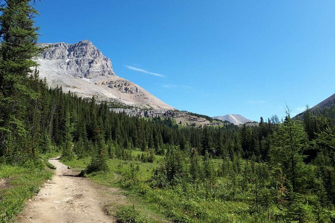 Exclusive Skoki Backcountry Guided Hiking in Lake Louise with Van Shuttle - Why the Skoki Valley Is Worth Your Hiking Day
