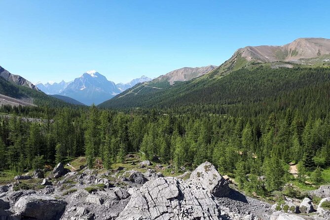 Exclusive Skoki Backcountry Guided Hiking in Lake Louise with Van Shuttle - Riding the Lake Louise Fire Road