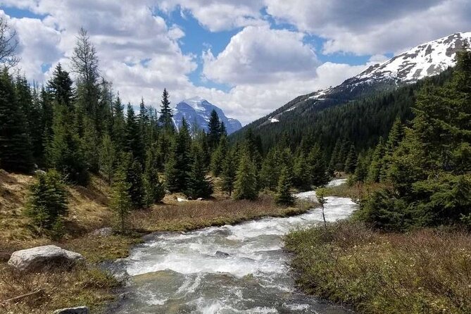 Exclusive Skoki Backcountry Guided Hiking in Lake Louise with Van Shuttle - Forests, Lakes, Meadows, and Mountain Passes