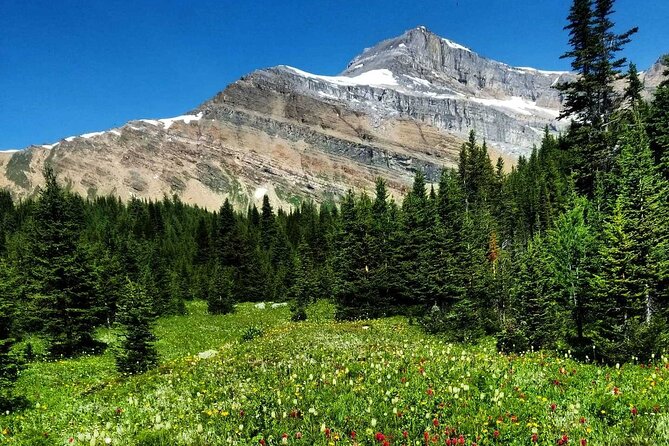 Exclusive Skoki Backcountry Guided Hiking in Lake Louise with Van Shuttle - Wildlife Watching Without Promises