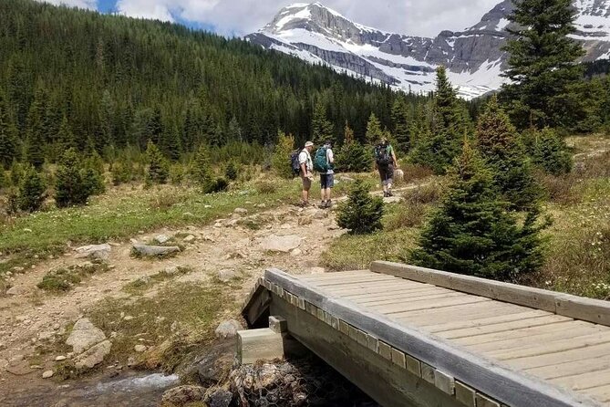 Exclusive Skoki Backcountry Guided Hiking in Lake Louise with Van Shuttle - Guides, Safety, and the Group Experience