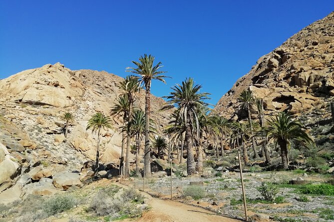 Excursion to Ajuy Caves with a secret Las Penitas canyon Hike - Walking through Barranco de Las Peñitas