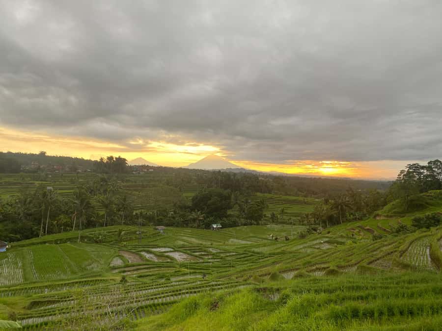 Explore rice terraces munduk & waterfall trekking experience - Who should book this Munduk experience?
