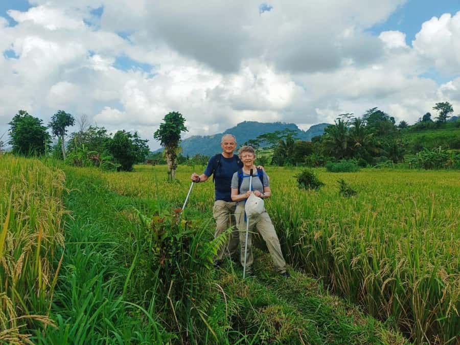 Explore rice terraces munduk & waterfall trekking experience - The drive into North Bali