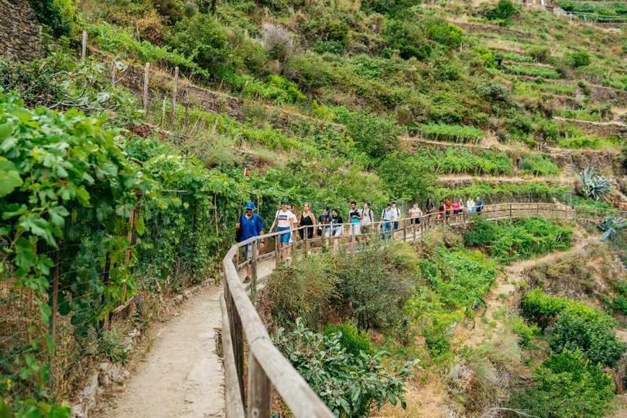 Florence: Cinque Terre Day Trip with Optional Hiking or Pisa - Key points at a glance
