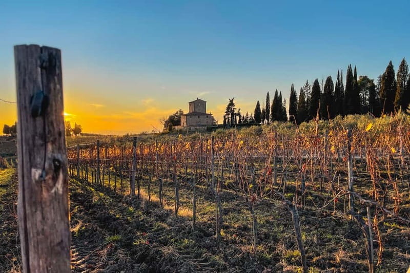 Florence: Hiking Tuscany & Chianti wine 3 wineries and lunch - What makes this Chianti day trip special