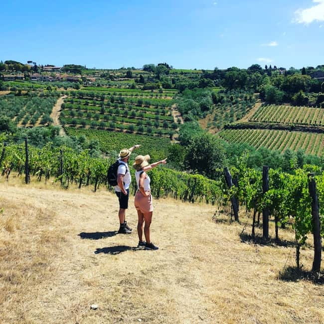 Florence: Hiking Tuscany & Chianti wine 3 wineries and lunch - Leaving Florence for Panzano in Chianti