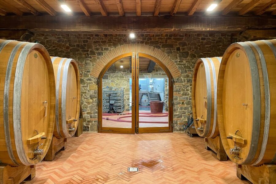 Florence: Hiking Tuscany & Chianti wine 3 wineries and lunch - How much value do you get for $239.03?