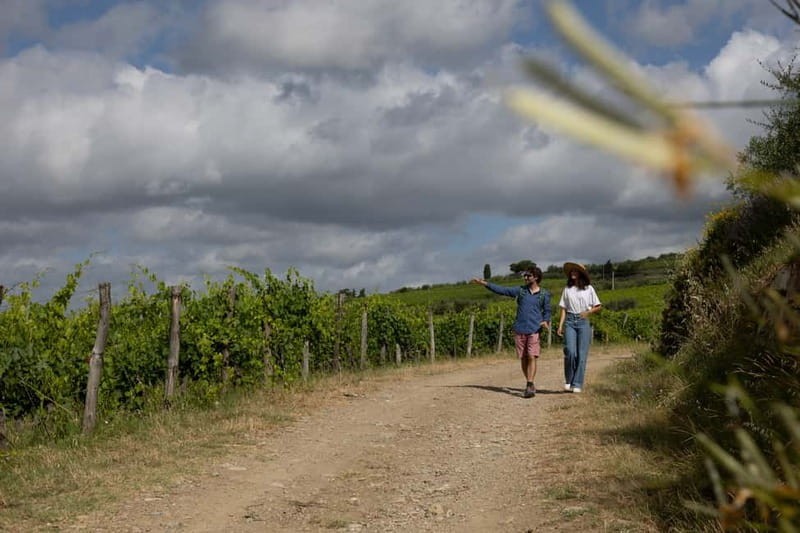 Florence: Hiking Tuscany & Chianti wine 3 wineries and lunch - Practical details that make the day easier