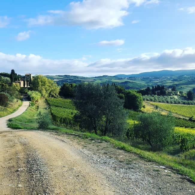 Florence: Hiking Tuscany & Chianti wine 3 wineries and lunch - Walking the Conca d’Oro through vineyards and olive groves