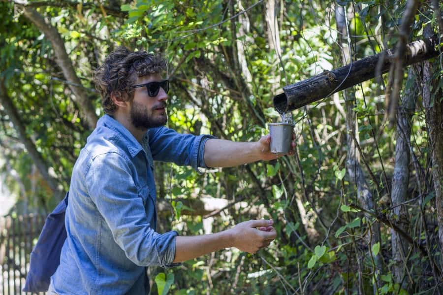 Florianopolis: Lagoinha do Leste Natural Park Hike - Who Will Get the Most From This Hike?
