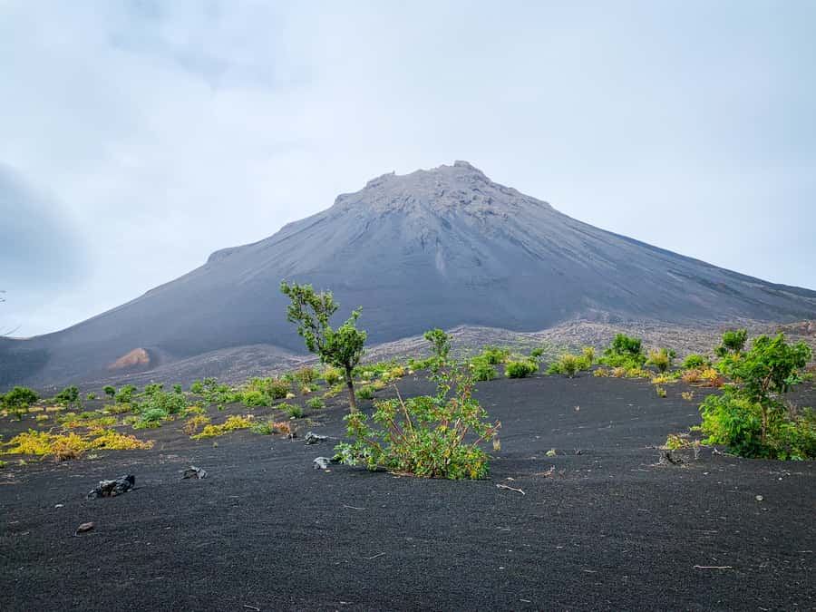 Fogo Island: Pico do Fogo Volcano Summit Hike - Key points before you book