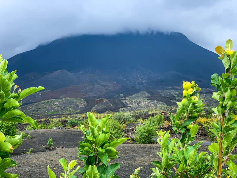 Fogo Island: Pico do Fogo Volcano Summit Hike - Pickup in Santa Catarina do Fogo