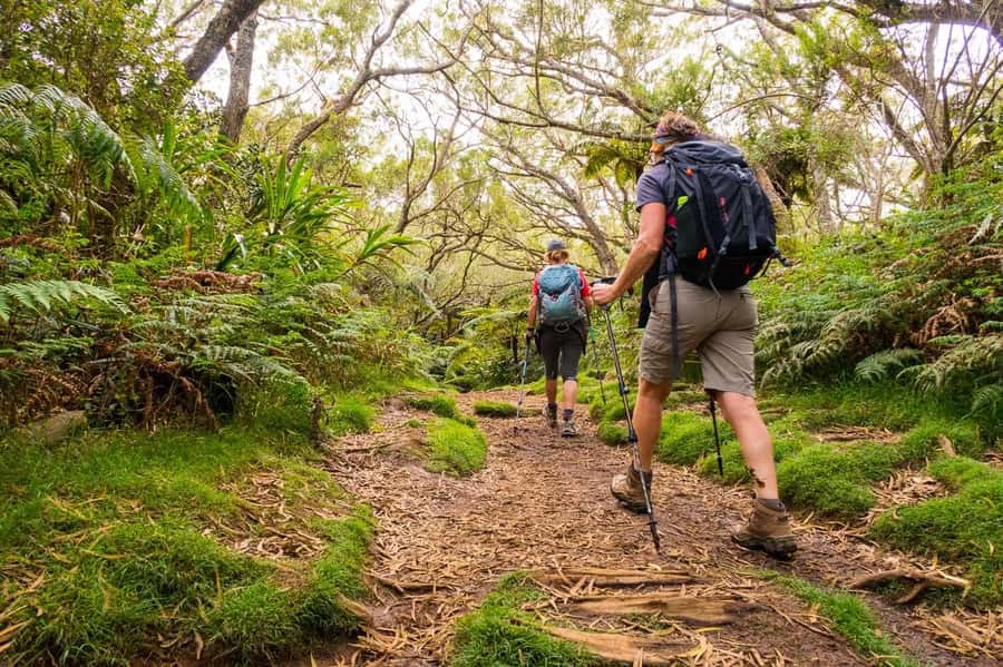 Forest Bélouve: Trou de Fer Weekly Group Hike in French - Key points at a glance