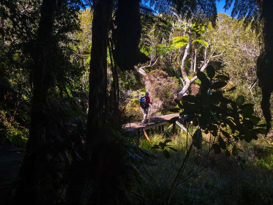 Forest Bélouve: Trou de Fer Weekly Group Hike in French - Weather, clothing, and food planning