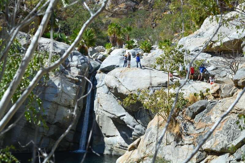 Fox Canyon: Day Hike - Wildlife, desert plants, and the value of a guide