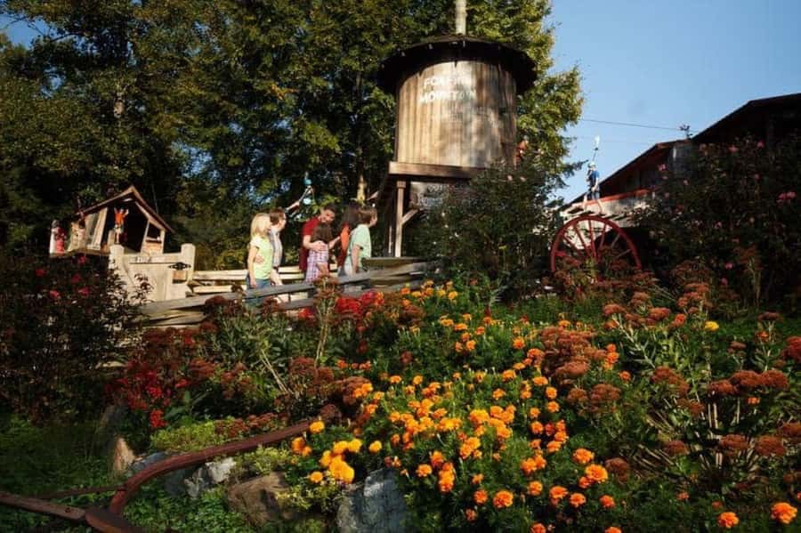 Foxfire Mountain: Hiking & Swinging Bridge Family Adventure - Starting the Day Among 150 Acres of Forest