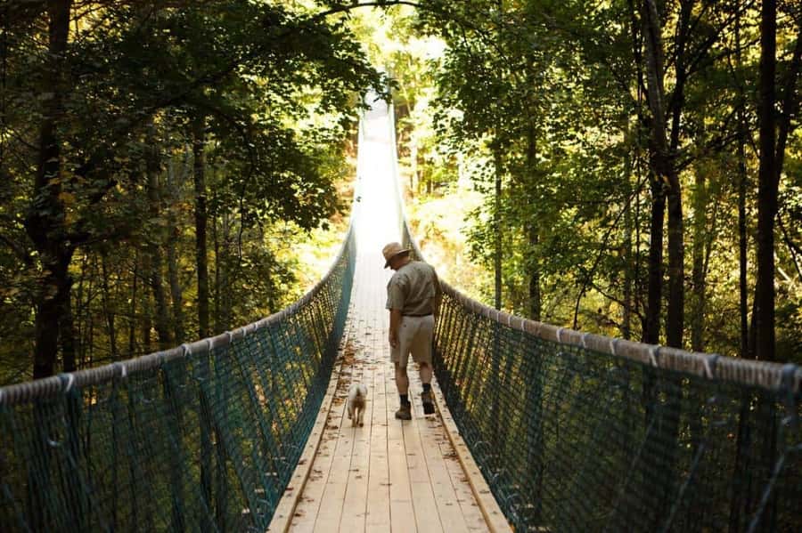 Foxfire Mountain: Hiking & Swinging Bridge Family Adventure - Crossing the 335-Foot Bridge to Prosperity