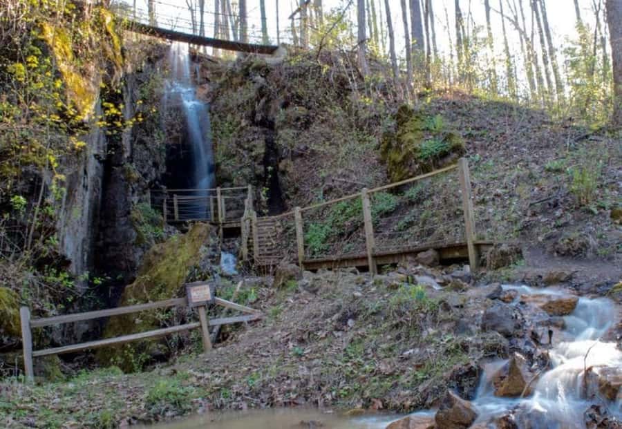 Foxfire Mountain: Hiking & Swinging Bridge Family Adventure - What the $27 Pass Is Worth