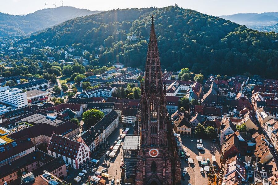 Freiburg: Veni, vidi, vino - wine hike and tasting - Walking the Schlossberg with a glass in hand