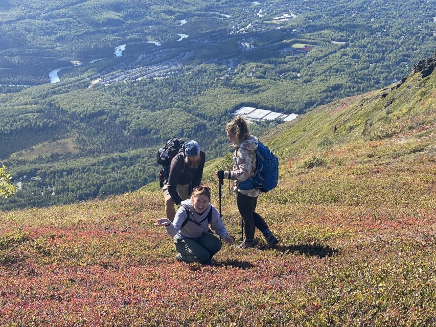 From Anchorage: Chugach State Park Guided Alpine Trek - Leaving downtown Anchorage for the Chugach foothills