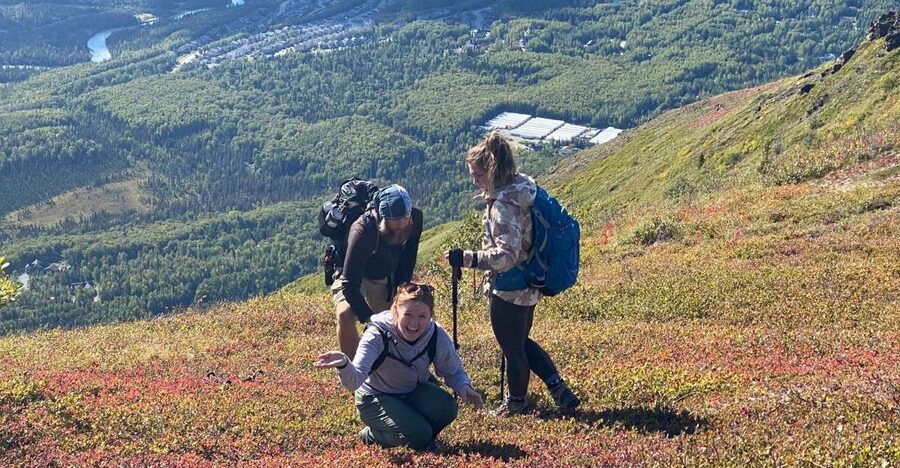 From Anchorage: Chugach State Park Guided Alpine Trek - Climbing from forest toward open tundra
