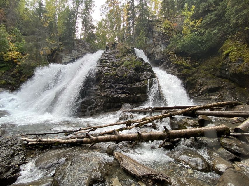 From Anchorage: Valley and Forest Hike with Naturalist Guide - Key points to know before booking