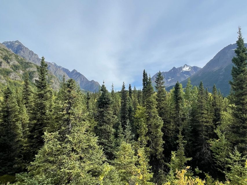 From Anchorage: Valley and Forest Hike with Naturalist Guide - Why this Anchorage day trip works
