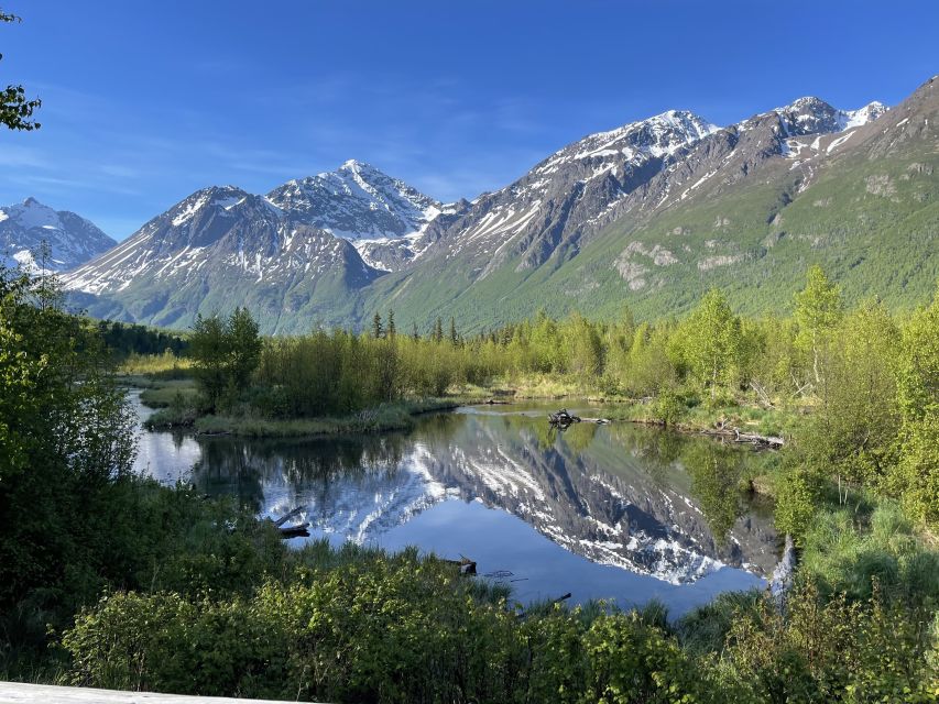 From Anchorage: Valley and Forest Hike with Naturalist Guide - Walking the Eagle River Nature Center trails