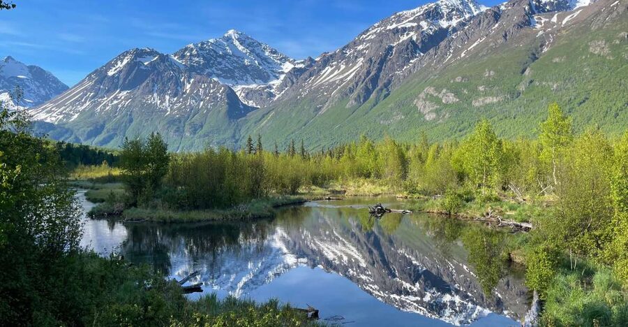 From Anchorage: Valley and Forest Hike with Naturalist Guide - Who should book this hike?