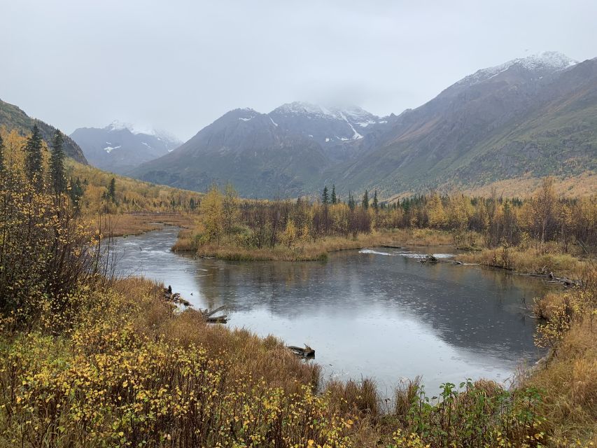 From Anchorage: Valley and Forest Hike with Naturalist Guide - Meeting at the Egan Center