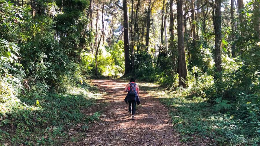 From Antigua Guatemala: Birdwatching and Scenic Hiking Tour - Why Finca El Pilar makes a good change from Antigua