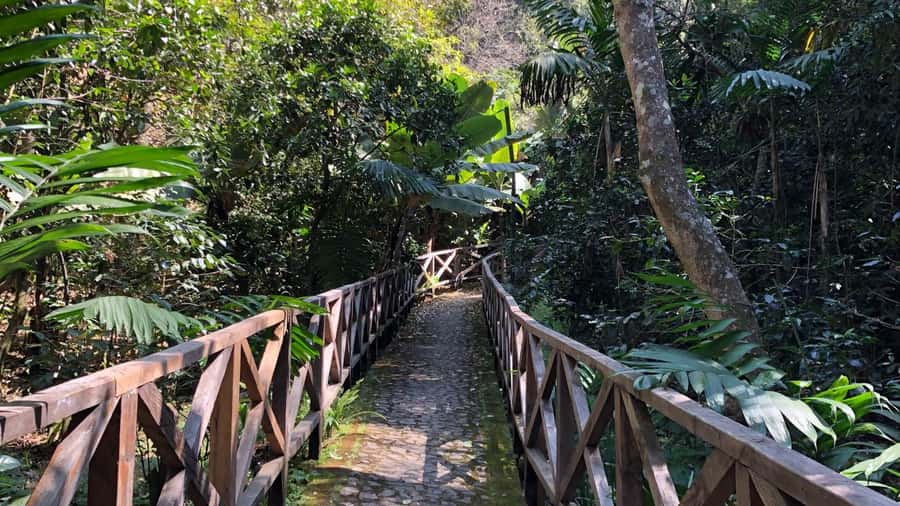 From Antigua Guatemala: Birdwatching and Scenic Hiking Tour - The lower trails are the real birding section