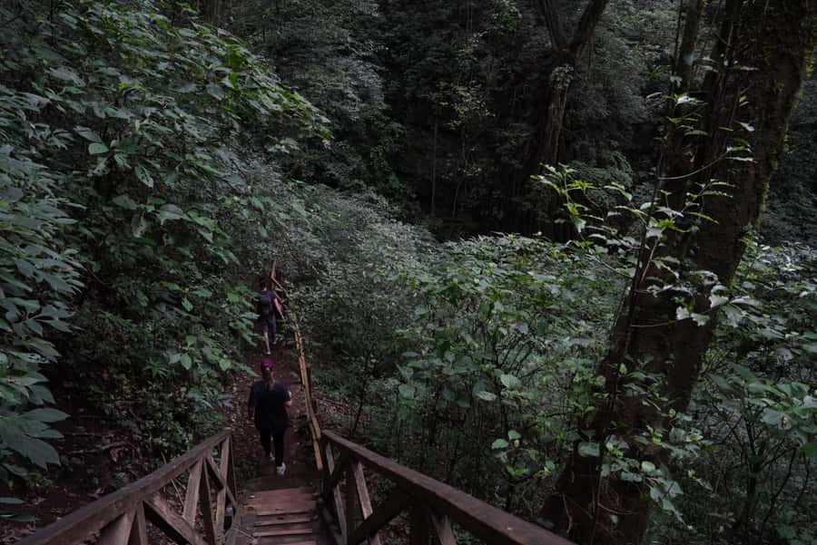 From Antigua Guatemala: Birdwatching and Scenic Hiking Tour - Who will enjoy this outing most