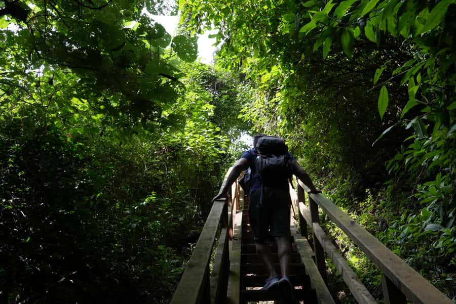 From Antigua Guatemala: Birdwatching and Scenic Hiking Tour - What to pack for Finca El Pilar