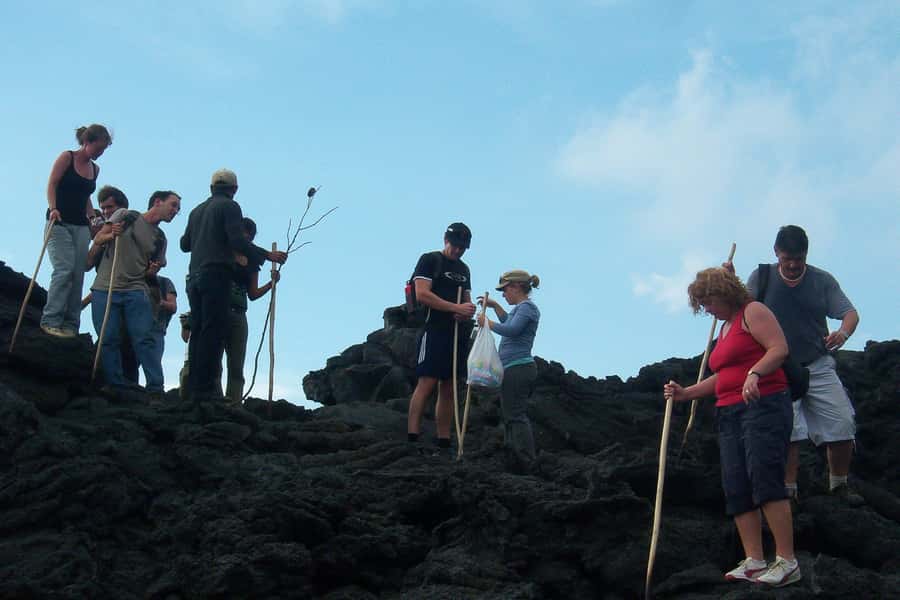From Antigua: Pacaya Volcano Trek - The summit views and changing weather