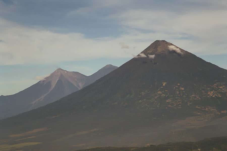 From Antigua: Pacaya Volcano Trek - The climb through pine forest