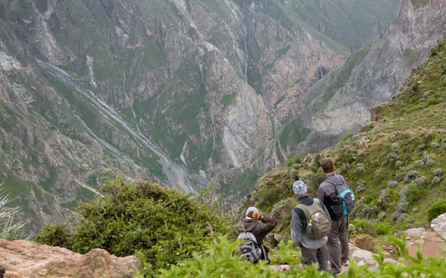 From Arequipa: 2-Day Colca Canyon Trekking Tour - Cruz del Cóndor gives you the big opening view