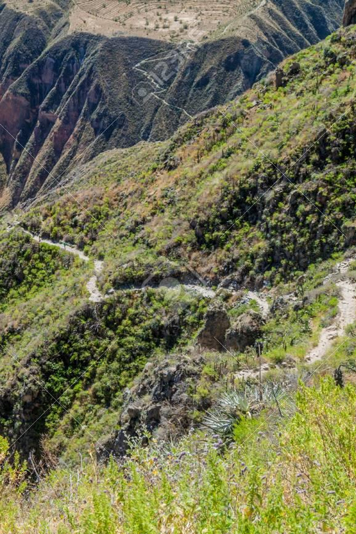 From Arequipa: 2-Day Colca Canyon Trekking Tour - Sangalle Oasis is the reward at the bottom