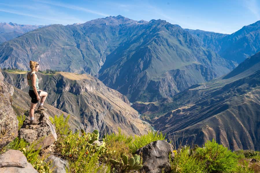 From Arequipa: 2-Day Colca Canyon Trekking Tour - The 4:30 a.m. climb is the part to respect