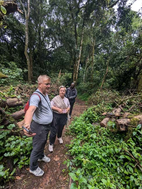 From Arusha/Moshi: Kilimanjaro Hike Marangu Route Day Trip - Mandara Hut and Maundi Crater
