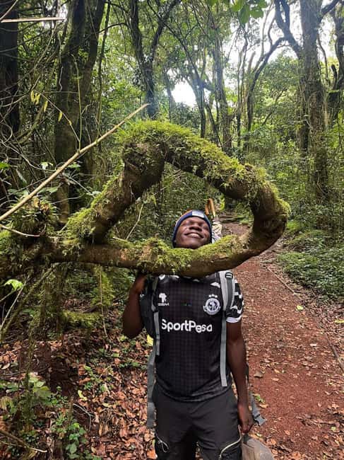 From Arusha/Moshi: Kilimanjaro Hike Marangu Route Day Trip - The descent is shorter, but not automatically easy