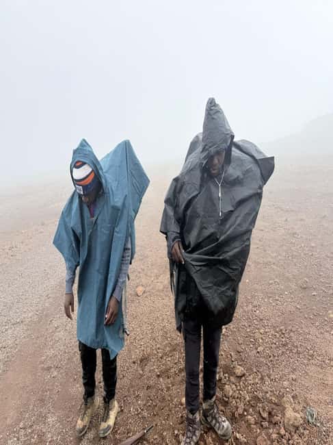 From Arusha/Moshi: Kilimanjaro Hike Marangu Route Day Trip - Who should book this Marangu Route day hike?