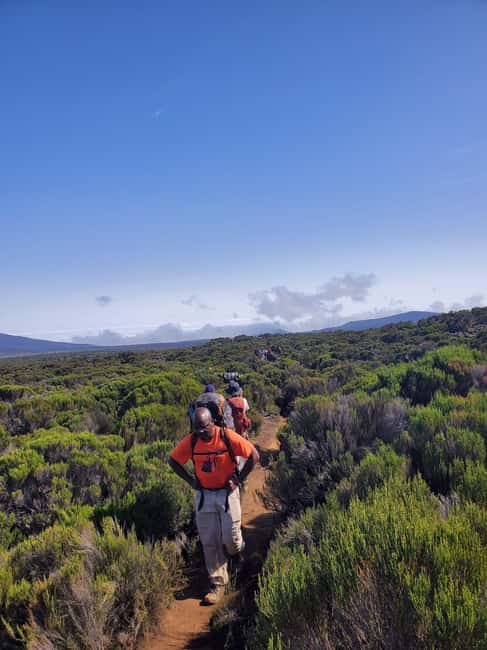 From Arusha/Moshi: Kilimanjaro Hike Marangu Route Day Trip - Should you book this Kilimanjaro day hike?